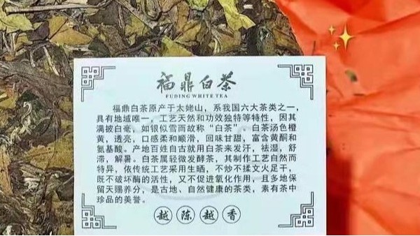 淳之文化®||白茶的十个小秘密（下）